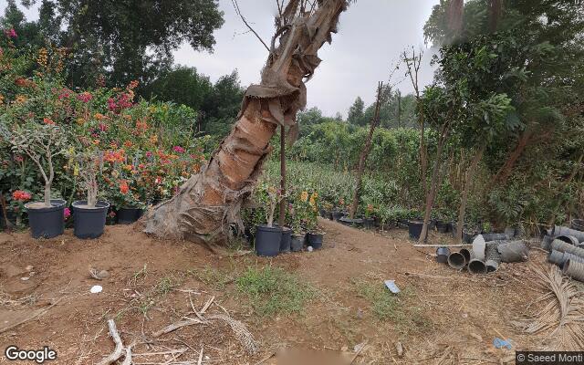 صورة الشارع عند موقع العقار